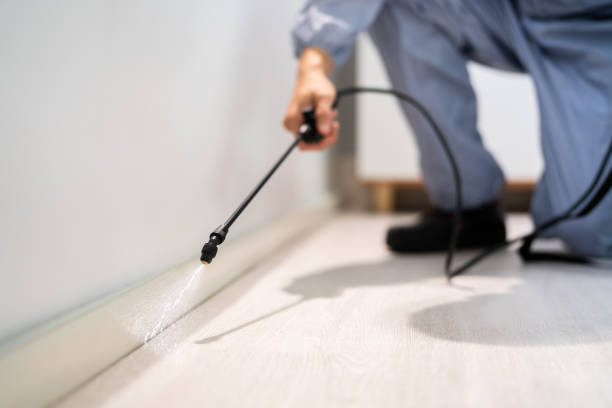 Licensed Cockroach Control service in St. Louis, MI - Nex Pest Control