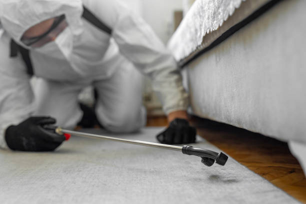 Professional Cockroach Control technician working in St. Louis, MI