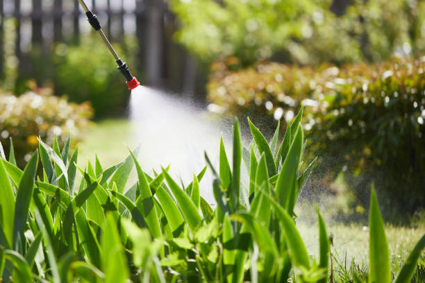24/7 Emergency Cockroach Control experts in St. Louis, MI