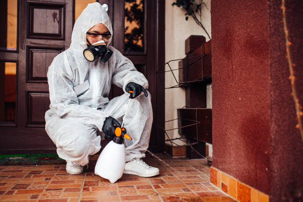 Reliable Cockroach Control contractor in St. Louis, MI by Nex Pest Control