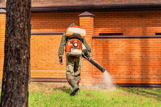 Top rated local Cockroach Control specialists in St. Louis, MI